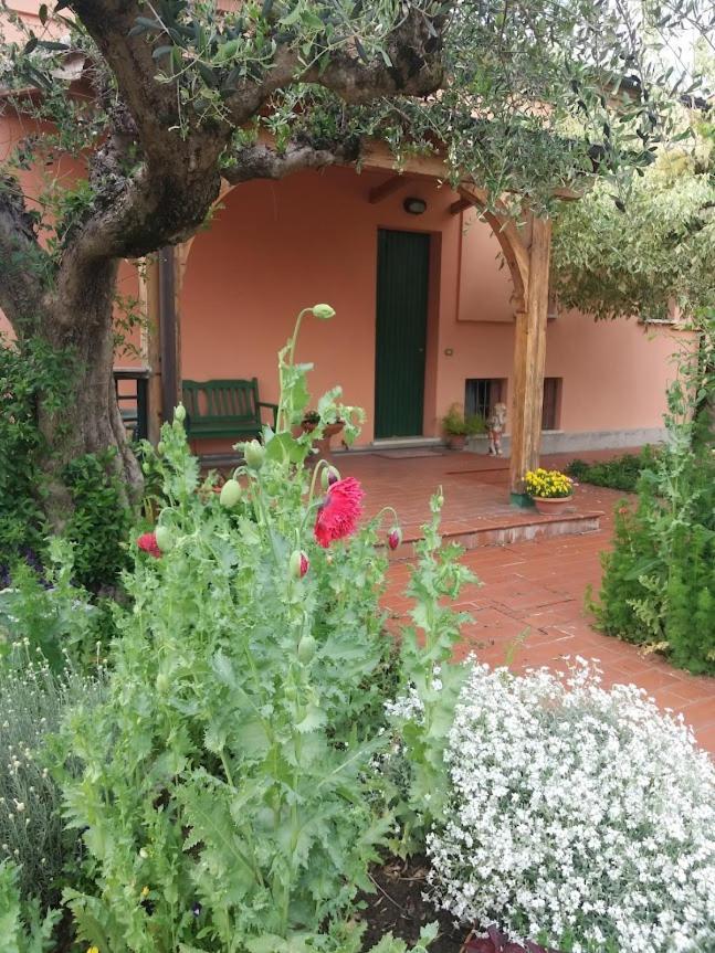 Villa Giuliana Vigonza Exterior photo